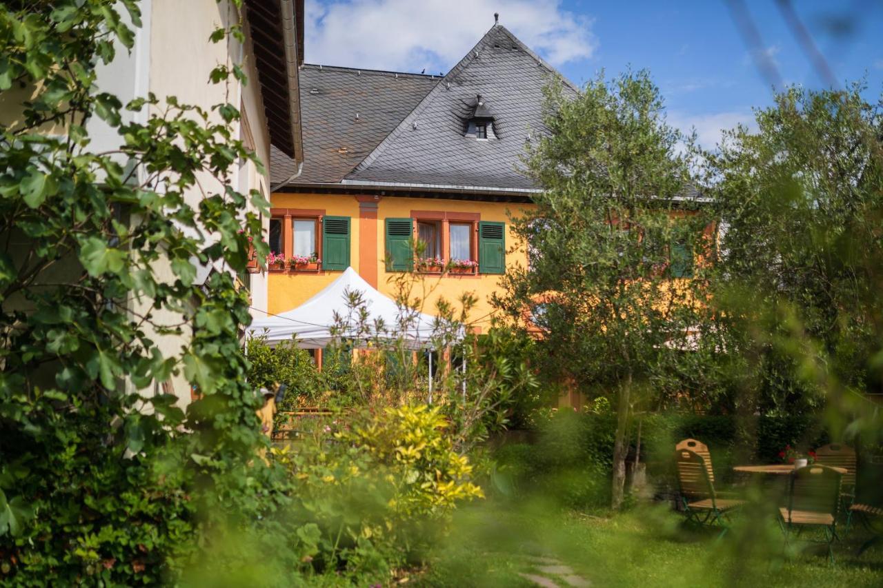 Bio-Weingut Staffelter Hof Casa de hóspedes Kröv Exterior foto