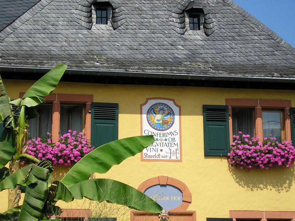 Bio-Weingut Staffelter Hof Casa de hóspedes Kröv Exterior foto